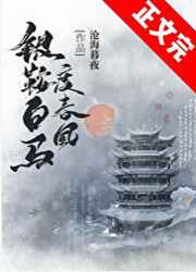 银鞍白马度春风沧海暮夜txt