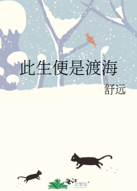 此生便是渡海小说讲的什么