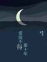 爱而不得那十年小说讲的是什么