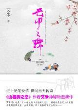 云中之珠书籍