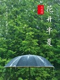 花开半夏偷药是第几集