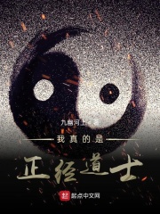 我真的是正经道士主角身份