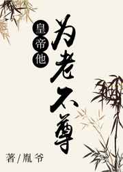 皇帝他为老不尊作者胤爷