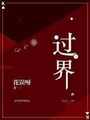 过界小说