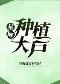 星际种子歌曲