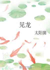 见龙卸甲电影免费