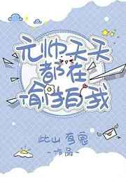 沙雕元帅天天都拍我百度云