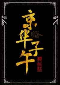 京华子午小说推荐