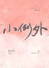 小例外小说讲的什么