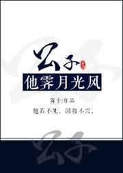 公子他霁月光风好看吗