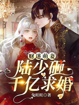 财迷萌妻:陆少砸千亿求婚(唐宝宝陆岩深)全文