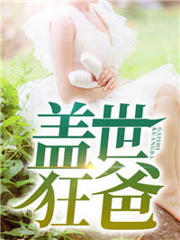 盖世狂婿