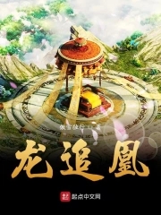 龙追凤求凰