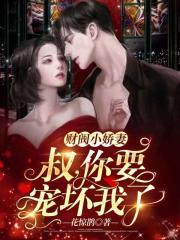 江少宠妻无节制小说