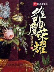 雏鹰的读法