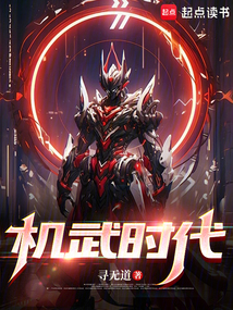 机武风暴英文缩写
