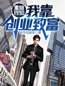 重生九十年代创业小说