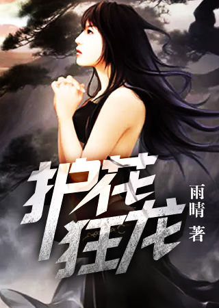 护花狂龙境界划分