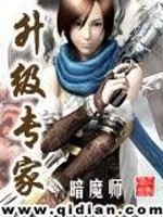 升级专家小说免费全文阅读