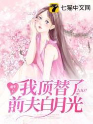 重生后我顶替了前夫白月光txt下载