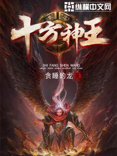 十方神王林天