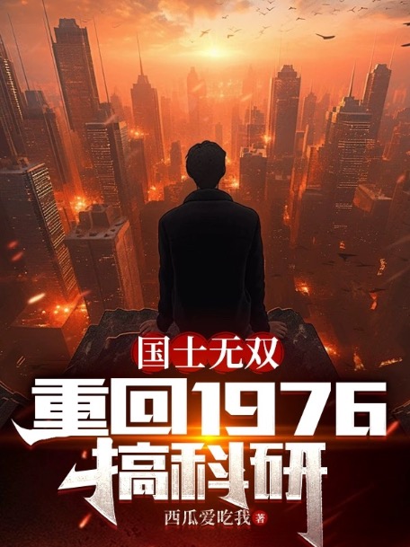 国士无双重回1976搞科研TXT