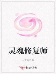 灵魂修炼的小说