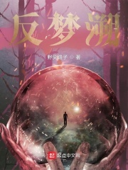 反梦想