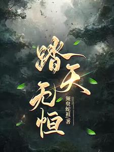 踏天无痕是什么小说