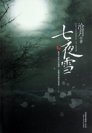 七夜雪电视剧在线观看飘花完整