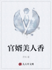 官婿美人香刘志中笔趣阁免费阅读完整
