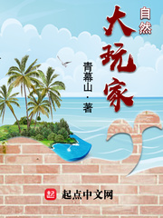 自然大玩家txt免费全本电子书下载