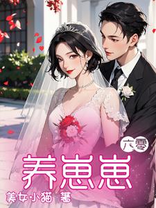六零养儿记