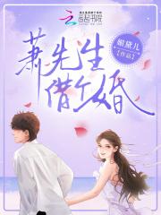 箫先生小说