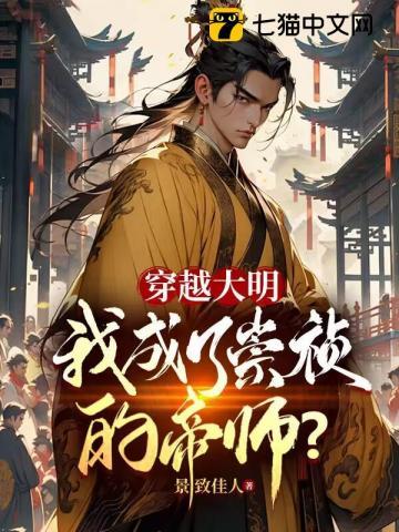 穿越大明崇祯小说