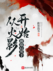 从火影开始做幕后黑手推文