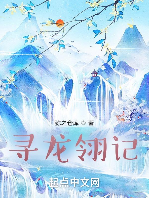 寻龙剑侠赖布衣20集国语版完整