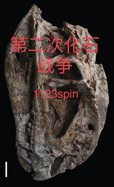 第二次化疗又要隔三周来医院