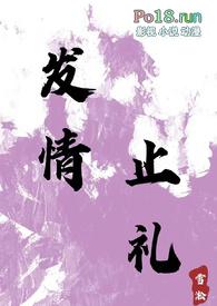 发情止礼小说完结版在线阅读全文
