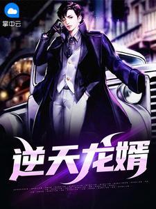 逆天龙婿视频