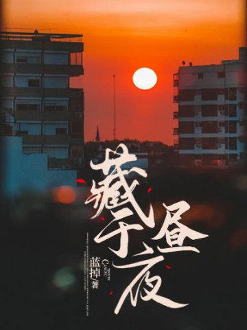 藏于昼夜小说更新完了吗