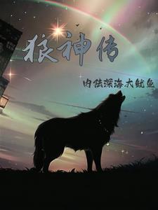 狼神殿老三攻略