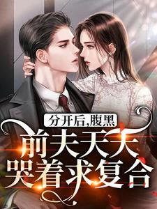 腹黑前夫追妻记
