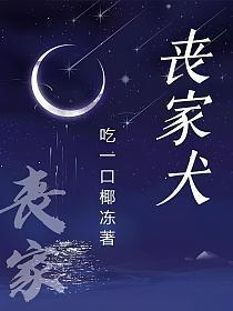 丧家犬的真实照片