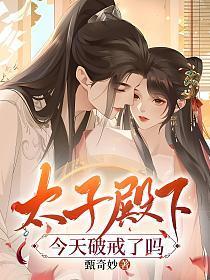 太子殿下的讲究小说