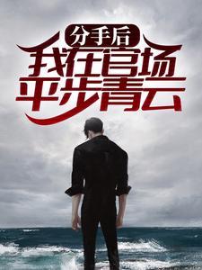 分手后我在官场平步青云第2376章
