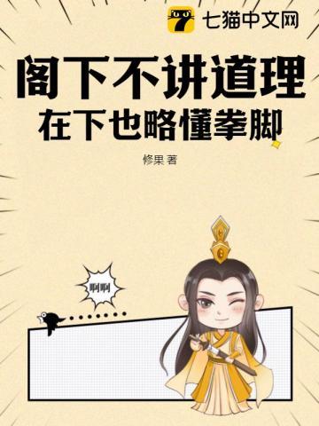 阁下不讲道理小说
