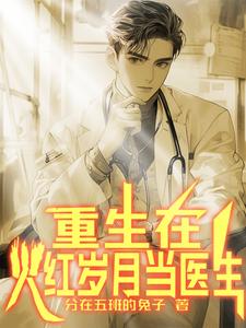 年代小医生的精彩人生小说在线阅读