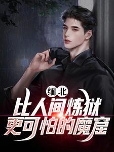 比缅北更危险的地区视频