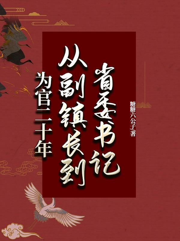 为官二十年从副镇长到省委书记小说